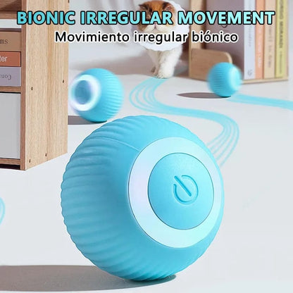 Best indoor interactive smart cat ball for active cats

