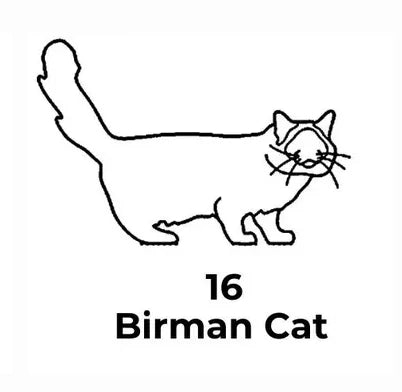 Black line drawing of a Birman cat with the number 16 below on a white background