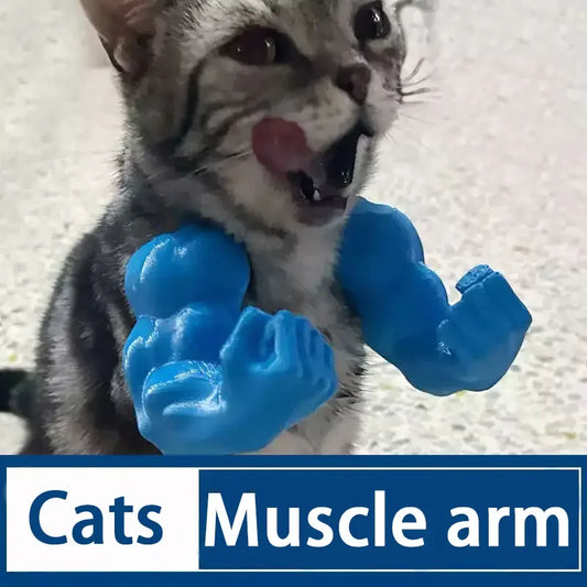 Cat playing with a blue toy shaped like a muscular arm on a light background