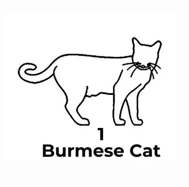 Black and white line drawing of a Burmese cat with text on a white background