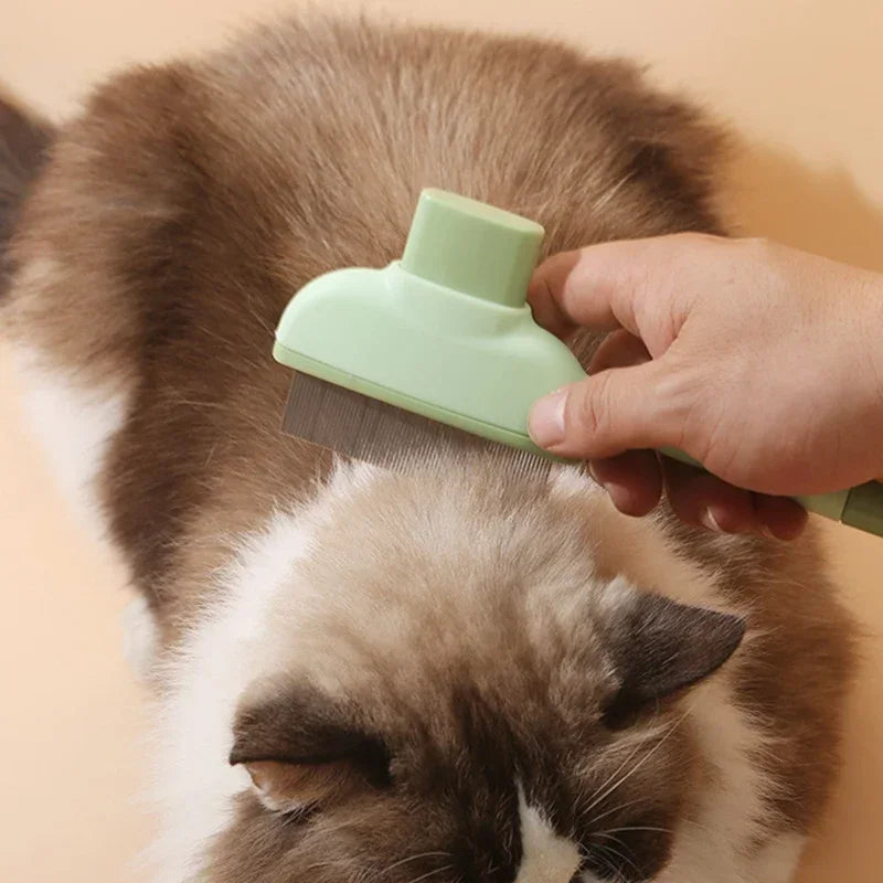 Person grooming a cat with a green brush on a beige background