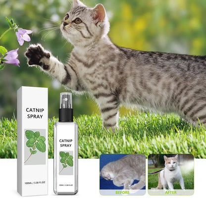 Catnip spray product with a cat interacting with flowers in the background