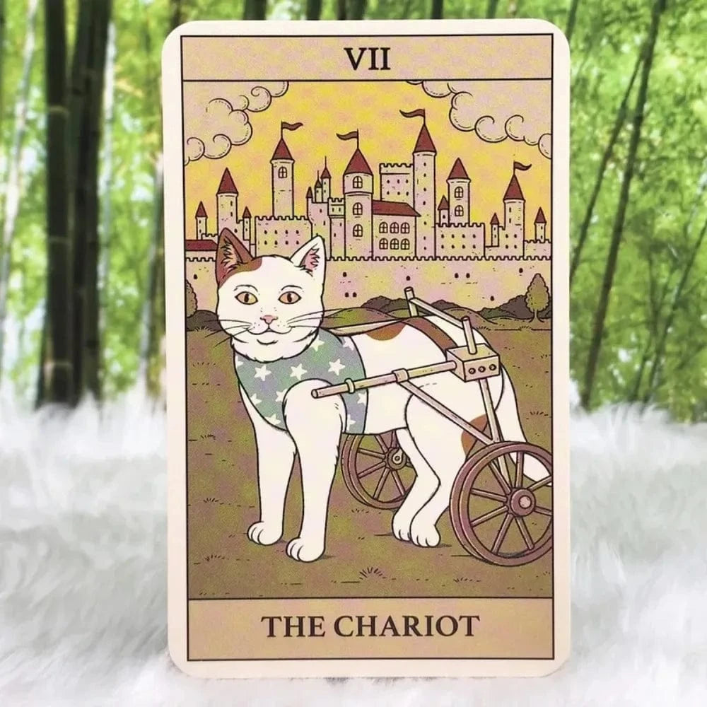 Cat Tarot Card Sticker – The Chariot Design