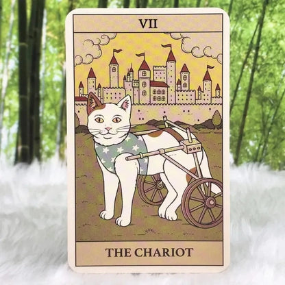 Cat Tarot Card Sticker – The Chariot Design