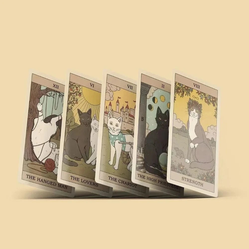 Cat Tarot Stickers in Color Box Packaging