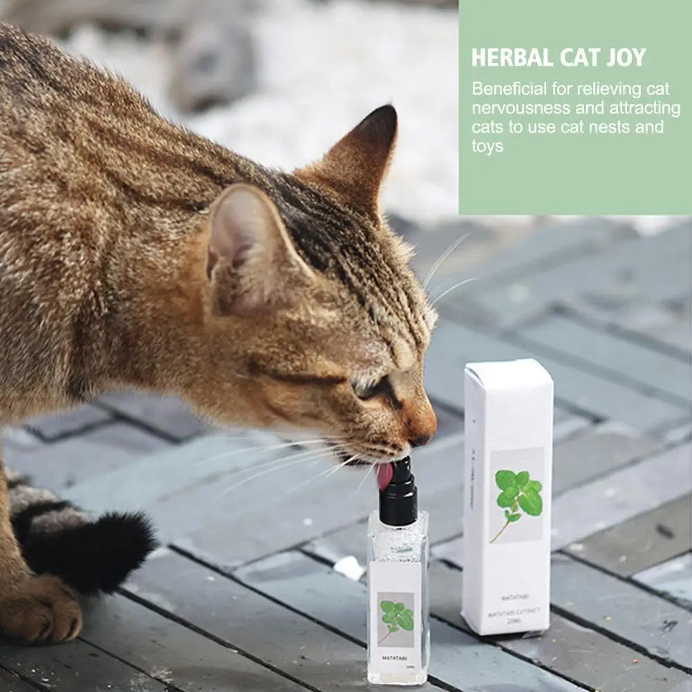 Cat interacting with a bottle labeled 'Herbal Cat Joy' on a wooden surface.