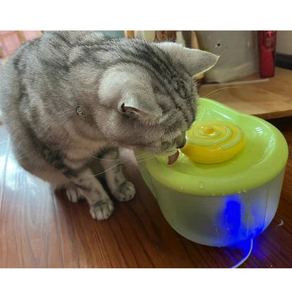 Cat Water Dispenser in Home Setting