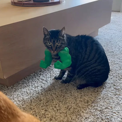 Cat playing with a green toy on a carpeted floor