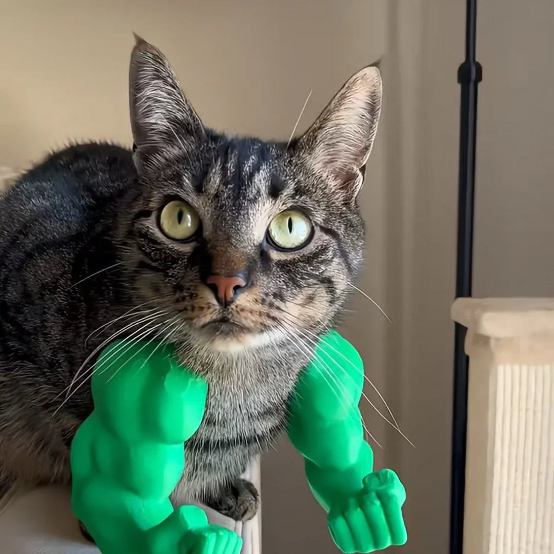 Cat holding a green superhero toy with arms outstretched