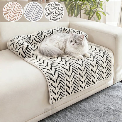 Cat lying on a patterned pet bed on a couch with decorative pillows in the background.