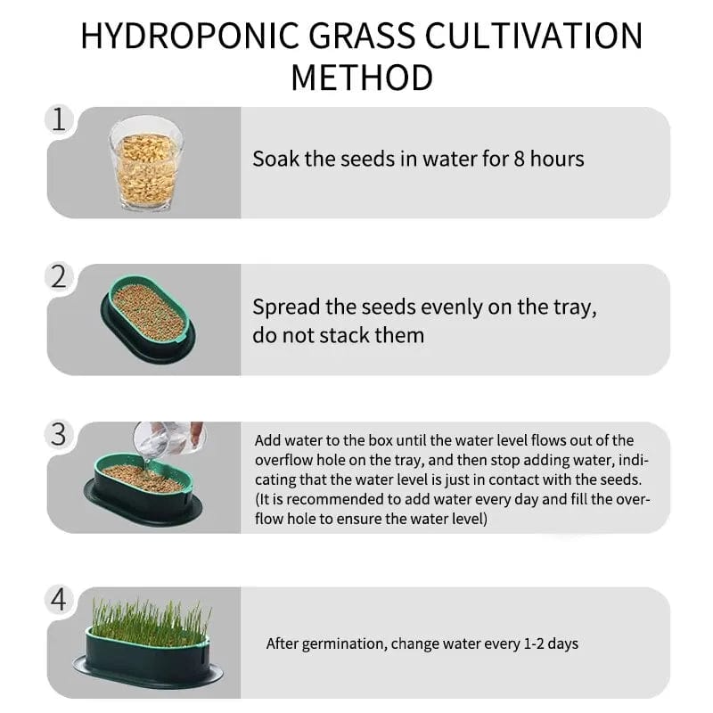 Cat grass grower dish with hassle-free watering system