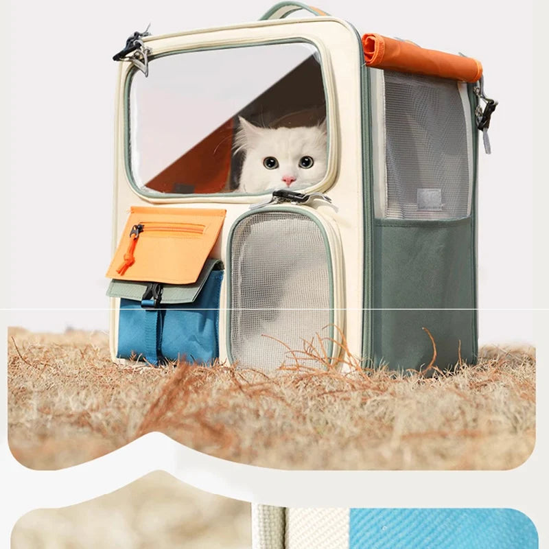 Cat peeking out from a pet carrier with a natural background