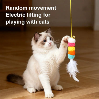 Cat playing with a colorful toy on a wooden floor