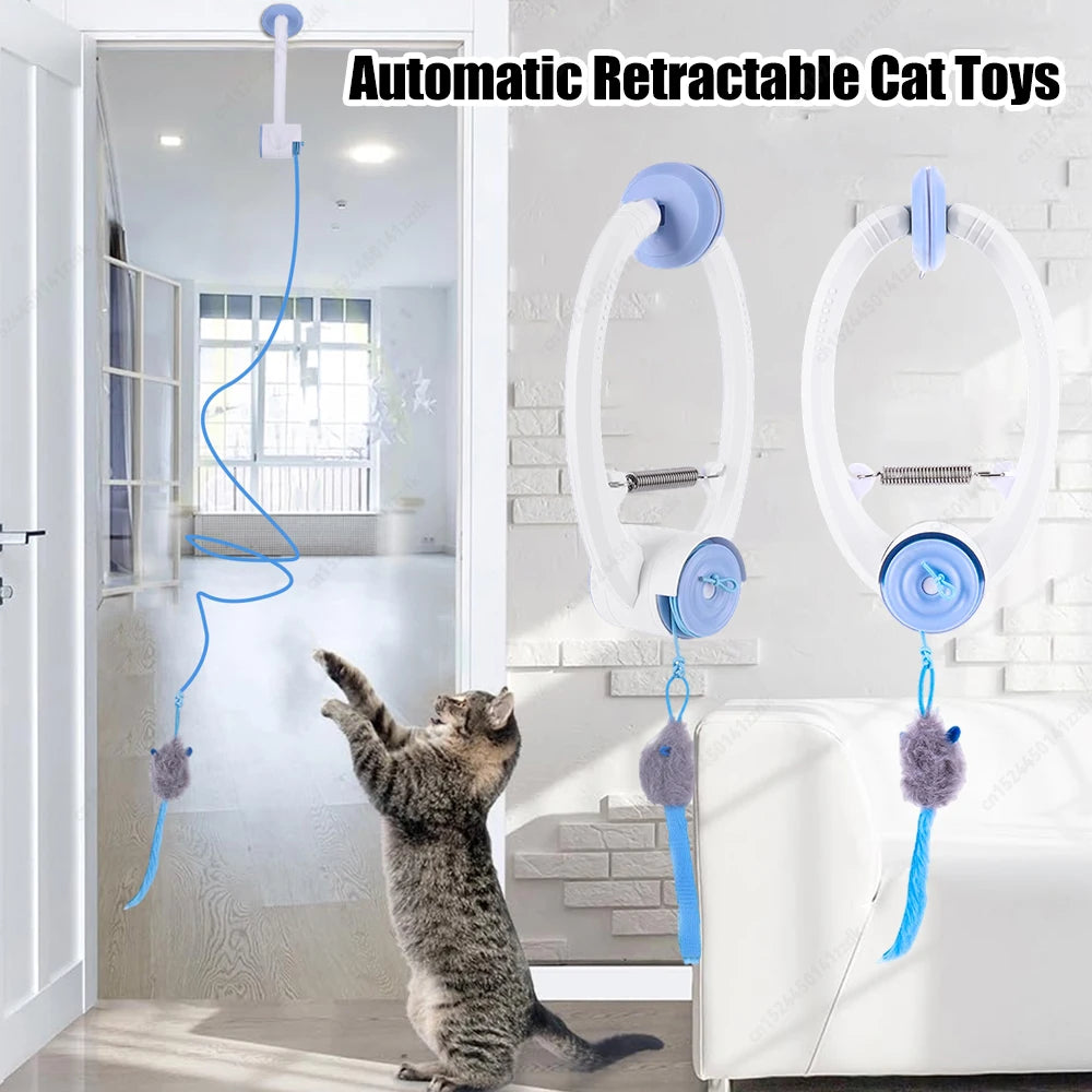 Cat playing with an automatic retractable cat toy in a room.