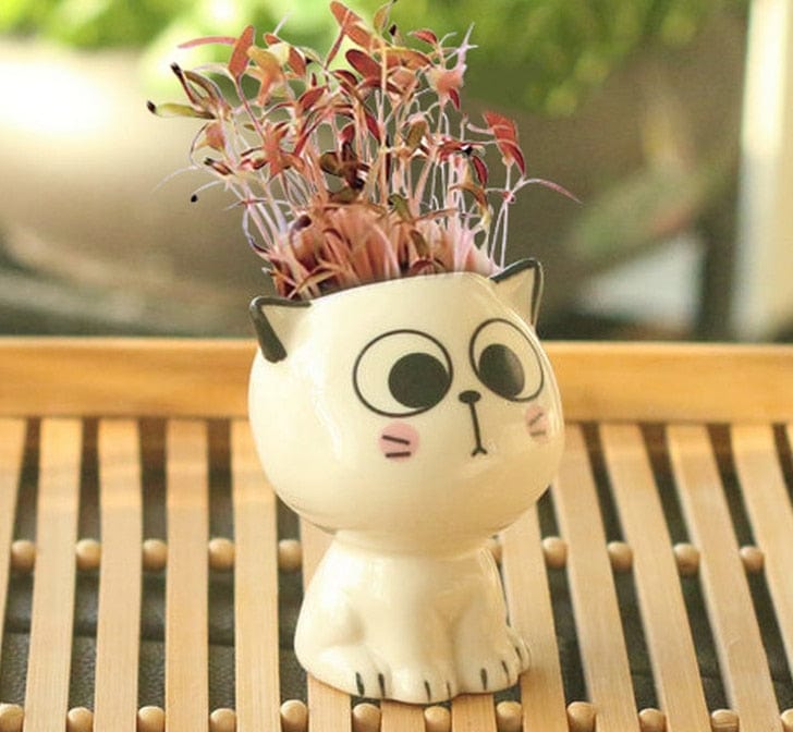 Ceramic Cat Head Planter with Red Succulent