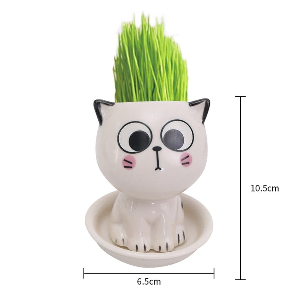 Ceramic mini planter heads for charming greenery