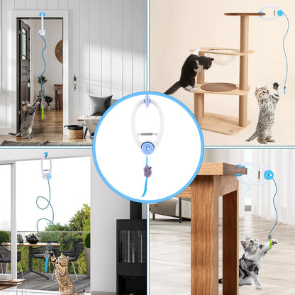 Collage of cats interacting with a hanging toy in various home settings.