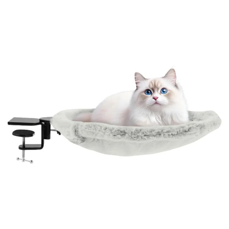 Cat sitting on a gray pet hammock with a white background
