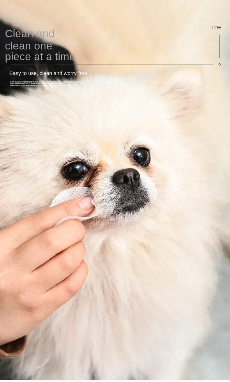 Cotton ear and eye wipe