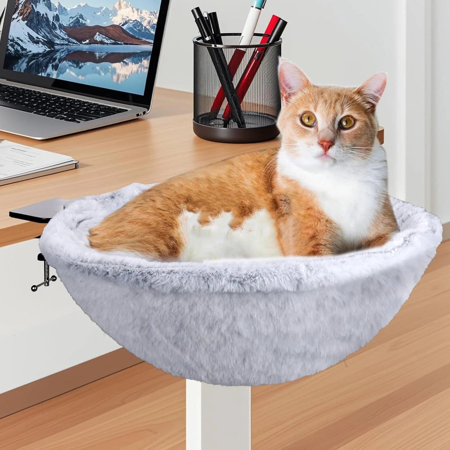 Cat sitting in a small pet bed on a desk with a laptop and office supplies in the background.