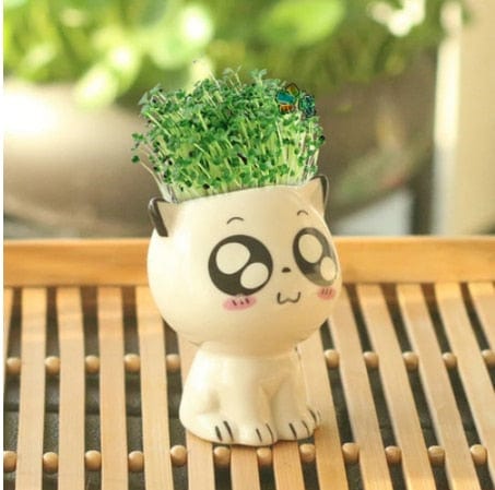 Cute Ceramic Cat Planter with Green Plant