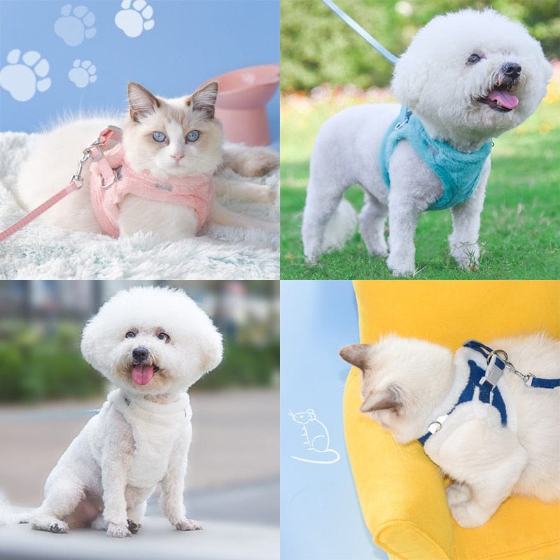 Sophisticated cat leash harness bundles