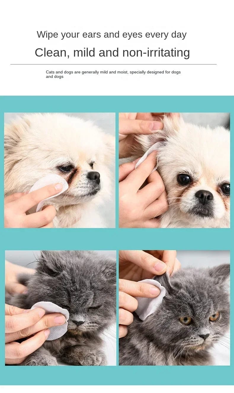 Ear wipe use on dog and cat 