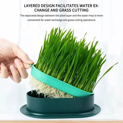 indoor cat grass planter Cat Easy Grass Grower
