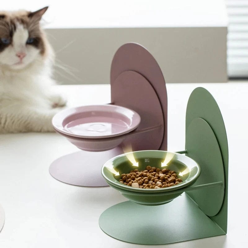 Elevated Cat Food Bowl in Use – Comfortable Feeding Position