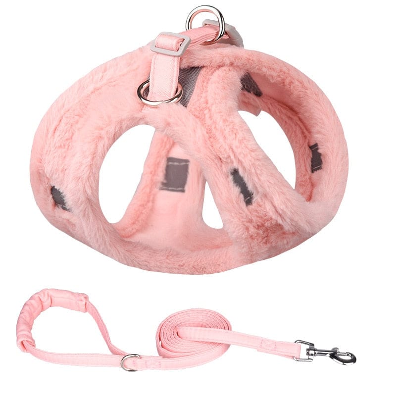 Stylish cat harness leash pairings