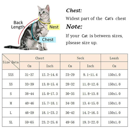 Classy cat walking gear sets