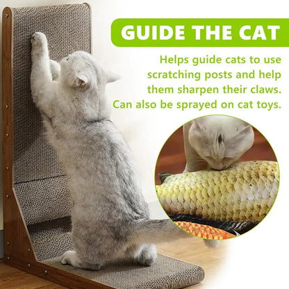 Cat using a scratching post with text explaining its benefits