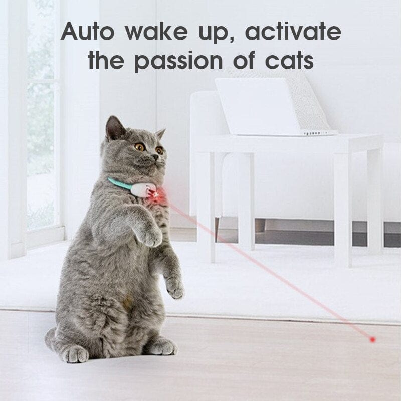 Hands-free cat laser collar toy for indoor play

