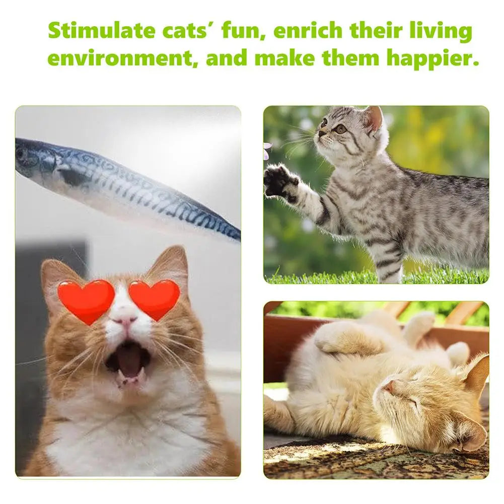 Collage of cats interacting with a toy and in various poses with text about stimulating cats' fun.
