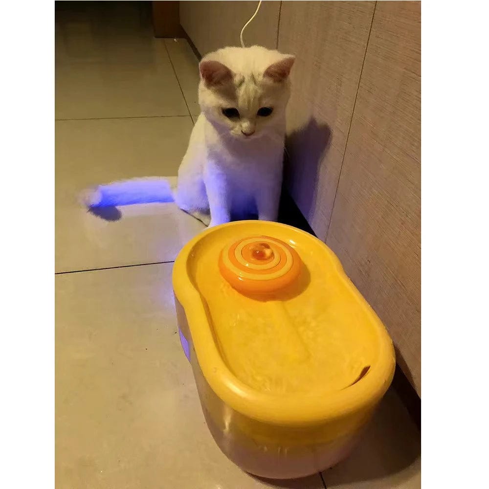 Kitten Drinking from Automatic Water Fountain