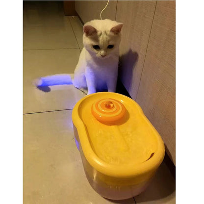 Kitten Drinking from Automatic Water Fountain