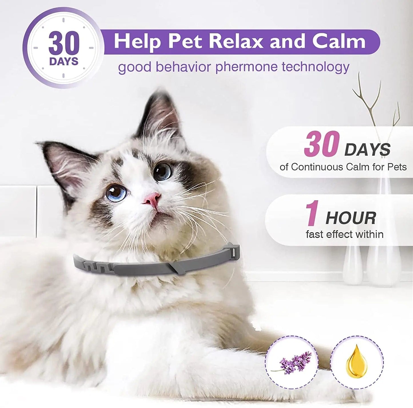 Lavender chamomile infused calming collars for cats