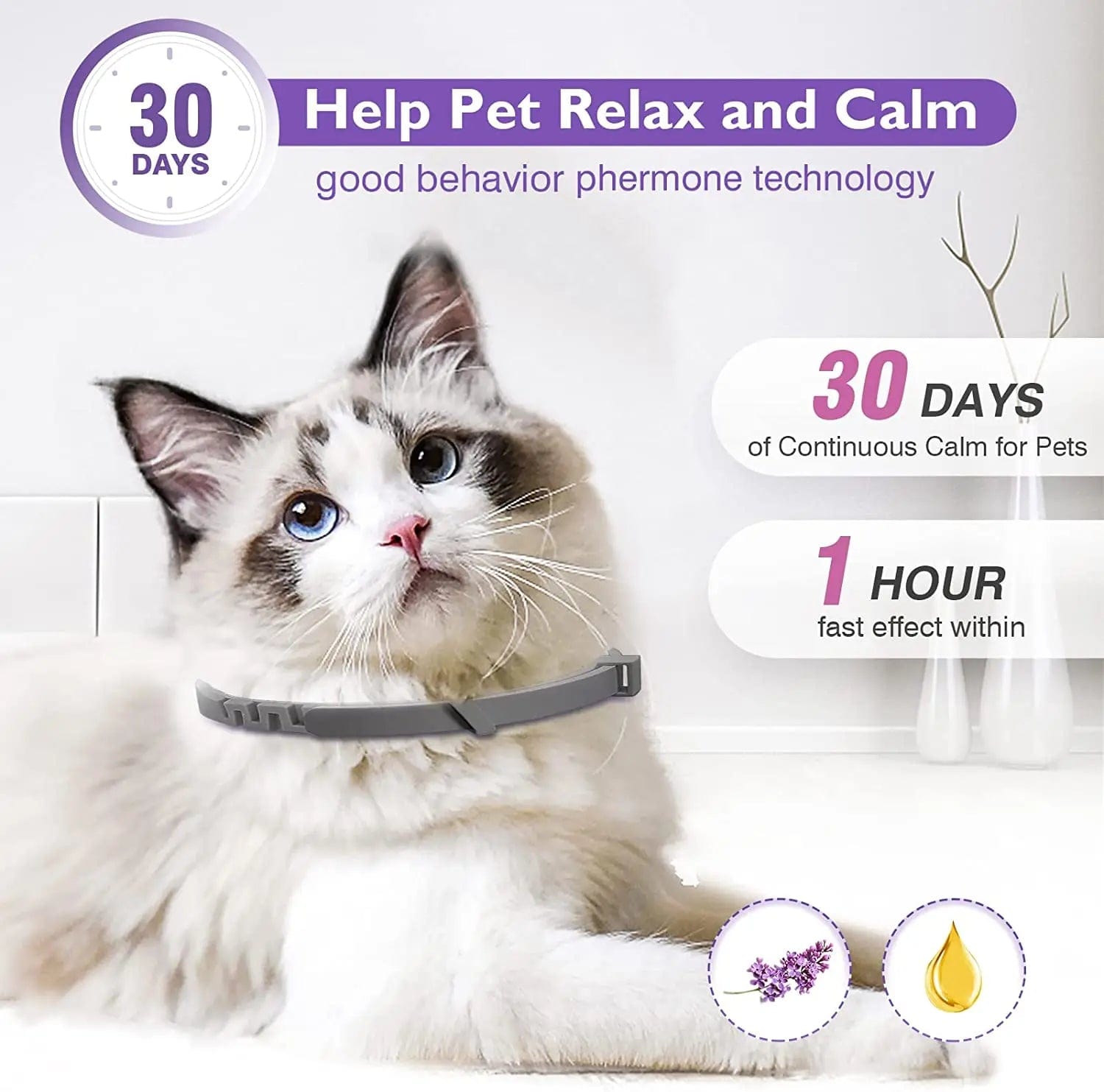 Lavender chamomile infused calming collars for cats