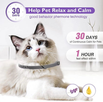 Lavender chamomile infused calming collars for cats
