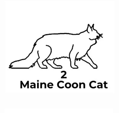Black and white illustration of a Maine Coon cat with text on a white background