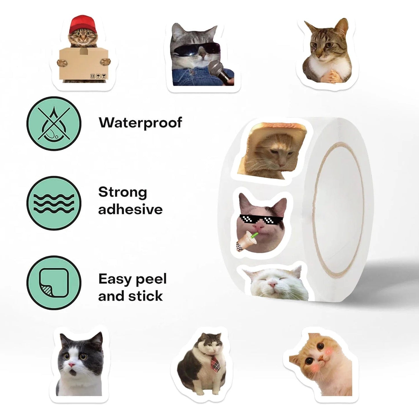 Meme-inspired funny cat stickers for kids and adults