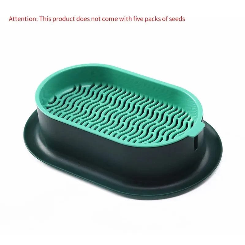 Minimalist cat grass grower dish for home use