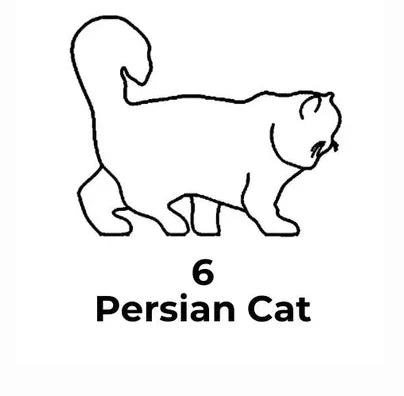 Black line drawing of a Persian cat with the number 6 below on a white background