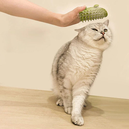 PetPals Cat Scratching Post with Rubber Massager & Teasing Toy