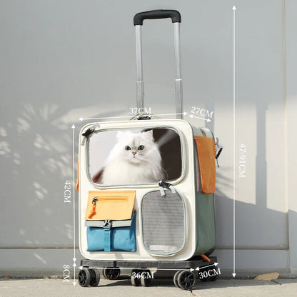 Pet carrier with a cat inside, placed on a suitcase with dimensions displayed.