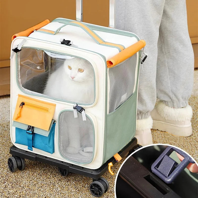 Pet carrier with a cat inside, being pushed by a person on a carpeted floor.