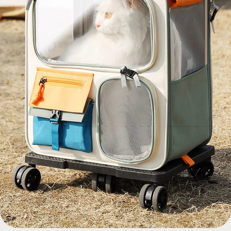 Pet carrier with a cat inside on a grassy ground