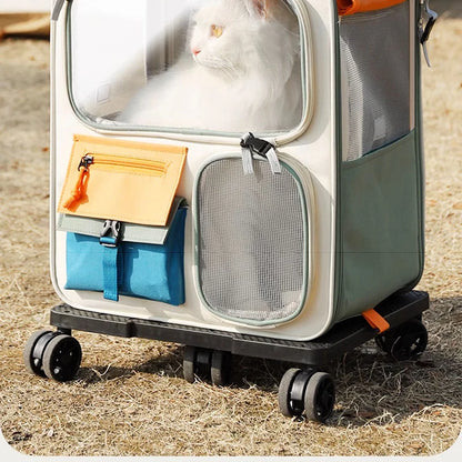 Pet carrier with a cat inside on a grassy ground