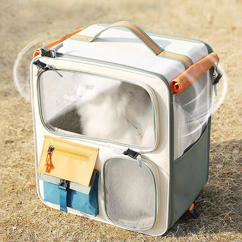 Pet carrier with a small cat inside on a sandy ground