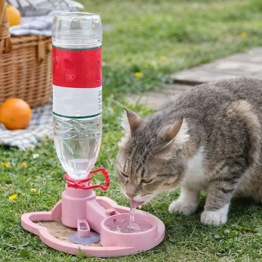 Cat drinking water from a pink pet water fountain on grass